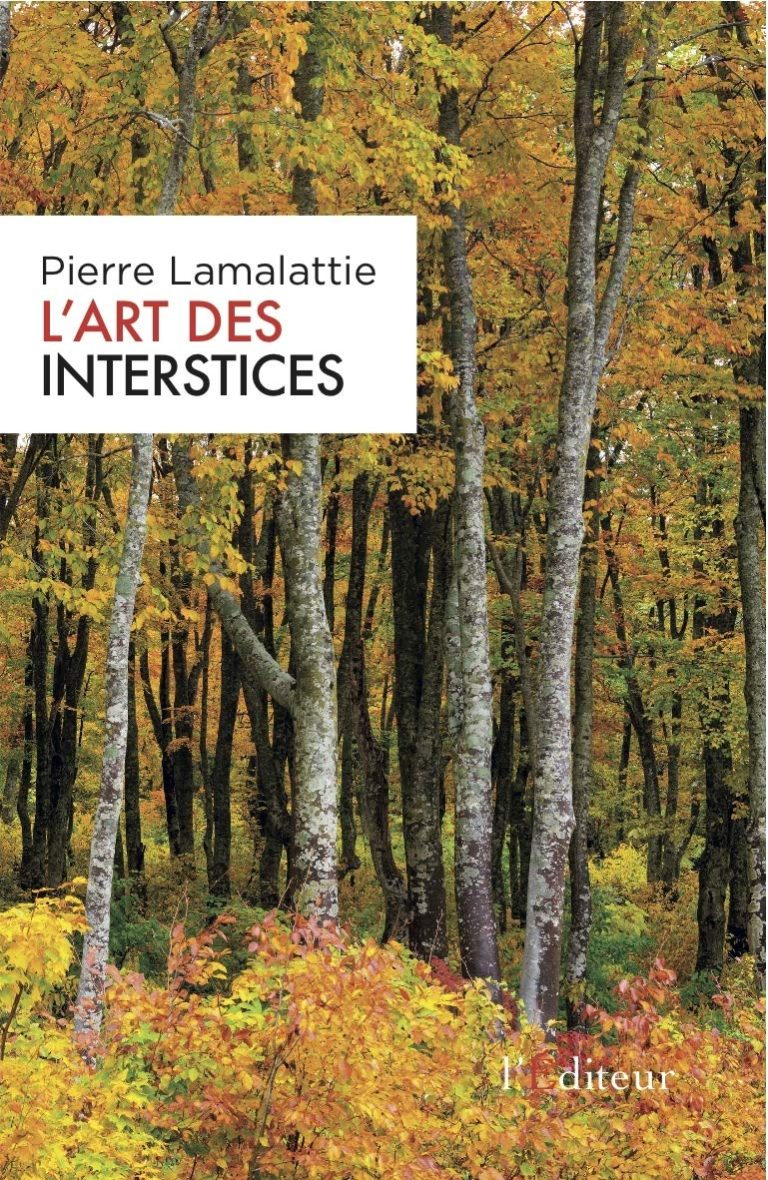 Couverture — L’art des interstices